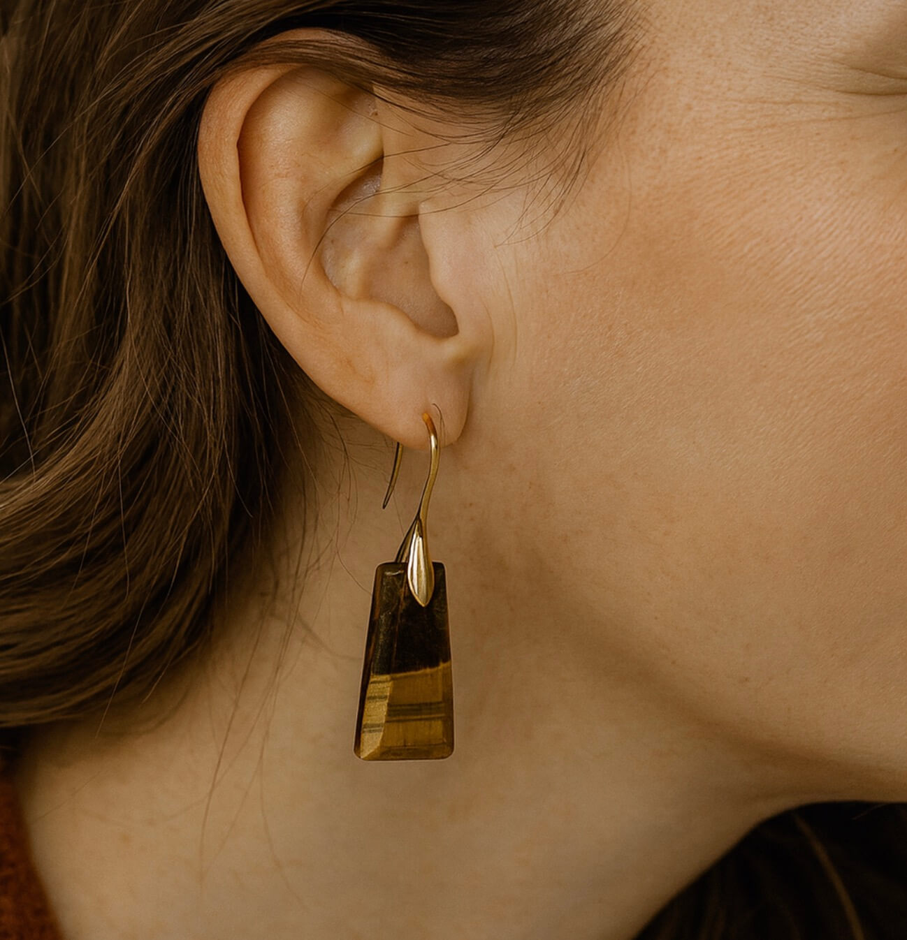 Tiger Eye Trapezoid Earrings